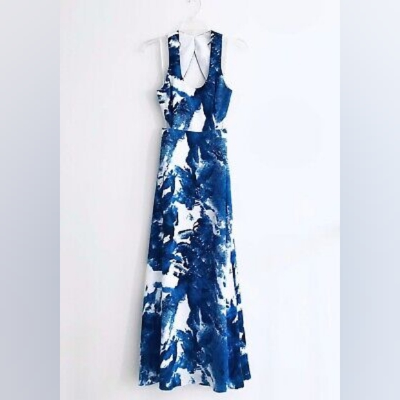 Aritzia Taluka Peekaboo Print Maxi Dress - Picture 3 of 5